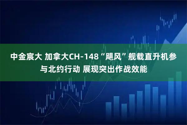 中金宸大 加拿大CH-148“飓风”舰载直升机参与北约行动 展现突出作战效能