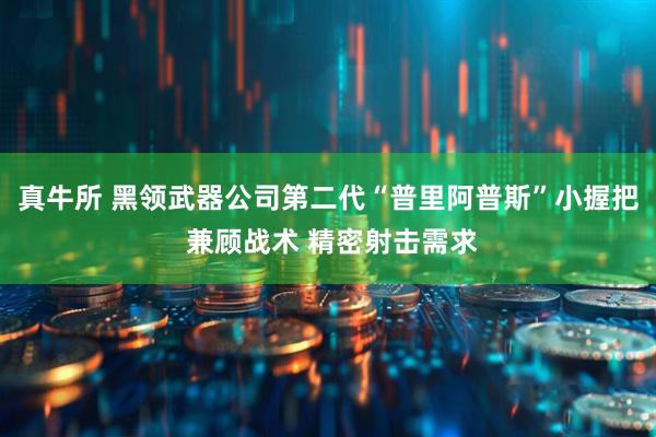 真牛所 黑领武器公司第二代“普里阿普斯”小握把 兼顾战术 精密射击需求