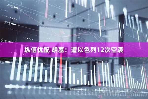 纵信优配 胡塞：遭以色列12次空袭