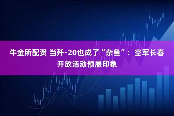 牛金所配资 当歼-20也成了“杂鱼”：空军长春开放活动预展印象