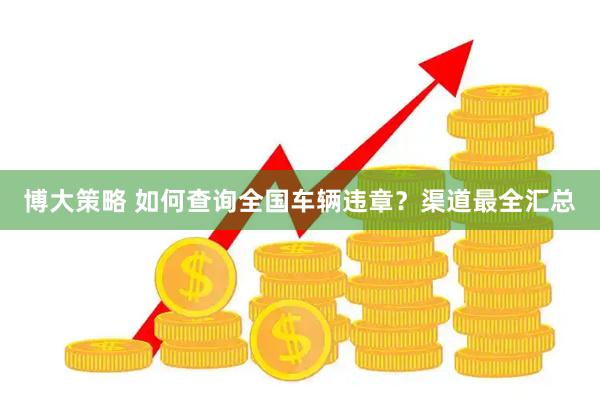 博大策略 如何查询全国车辆违章？渠道最全汇总