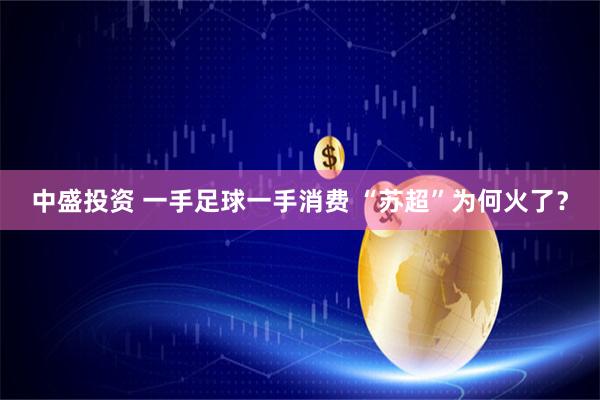 中盛投资 一手足球一手消费 “苏超”为何火了？