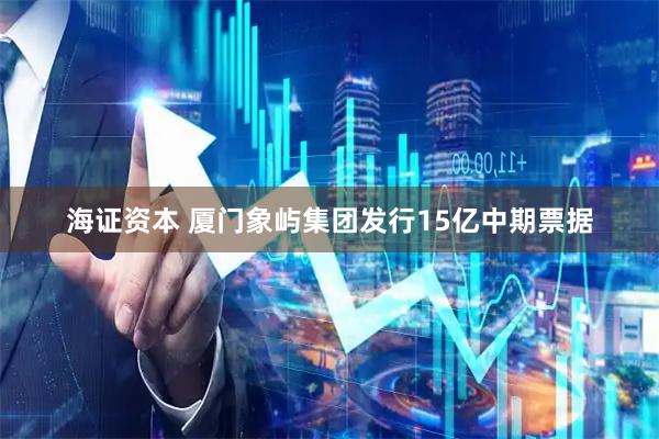 海证资本 厦门象屿集团发行15亿中期票据
