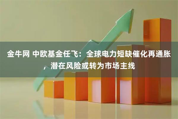 金牛网 中欧基金任飞：全球电力短缺催化再通胀，潜在风险或转为市场主线