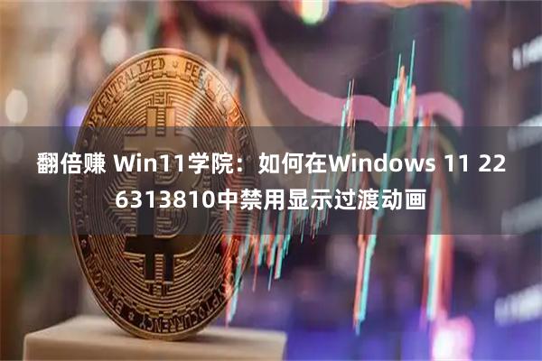 翻倍赚 Win11学院：如何在Windows 11 226313810中禁用显示过渡动画